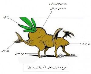morgh 4